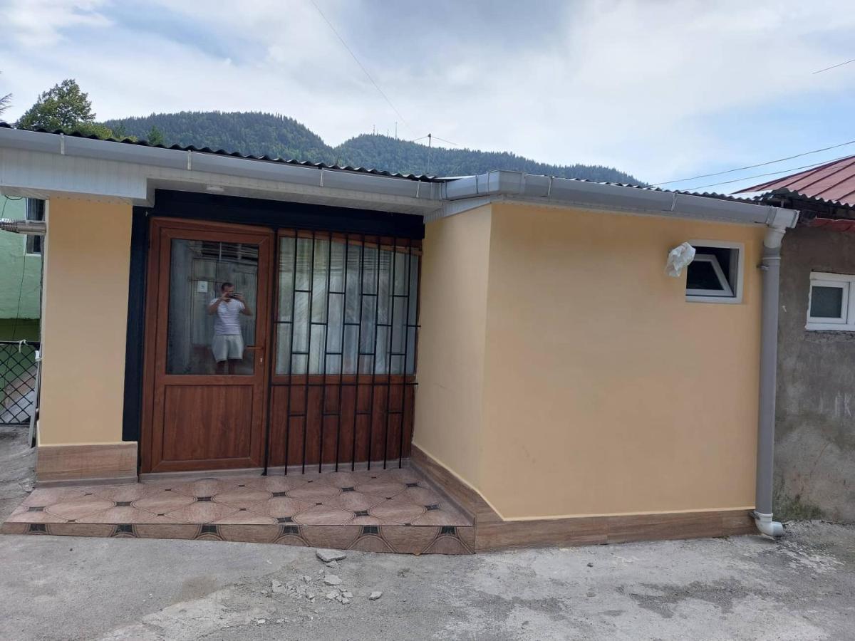 Davids Entire Place Borjomi Exterior photo