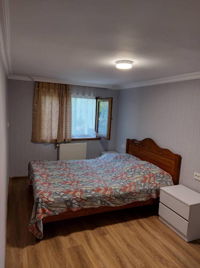 Davids Entire Place Borjomi Exterior photo
